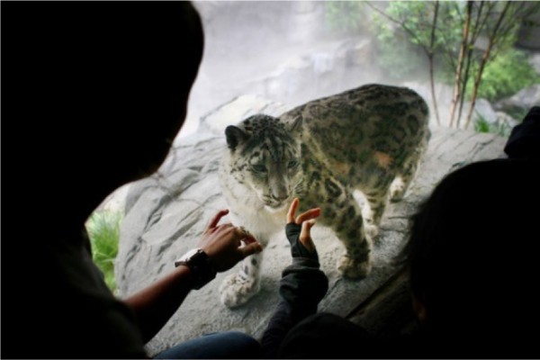Museum and Zoos